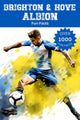 Wissenswertes über Brighton Hove Albion