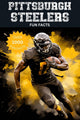 Wissenswertes über die Pittsburgh Steelers
