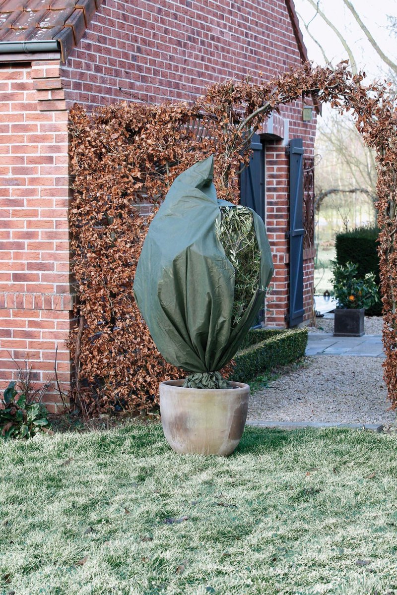 Natur Nature Winter Cover 70 g m² 2,5 x 3 g grün