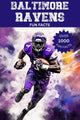 Wissenswertes über die Baltimore Ravens