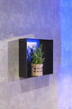 Looox Colour Box Einbaunische - 30x30x10cm - Edelstahl schwarz matt