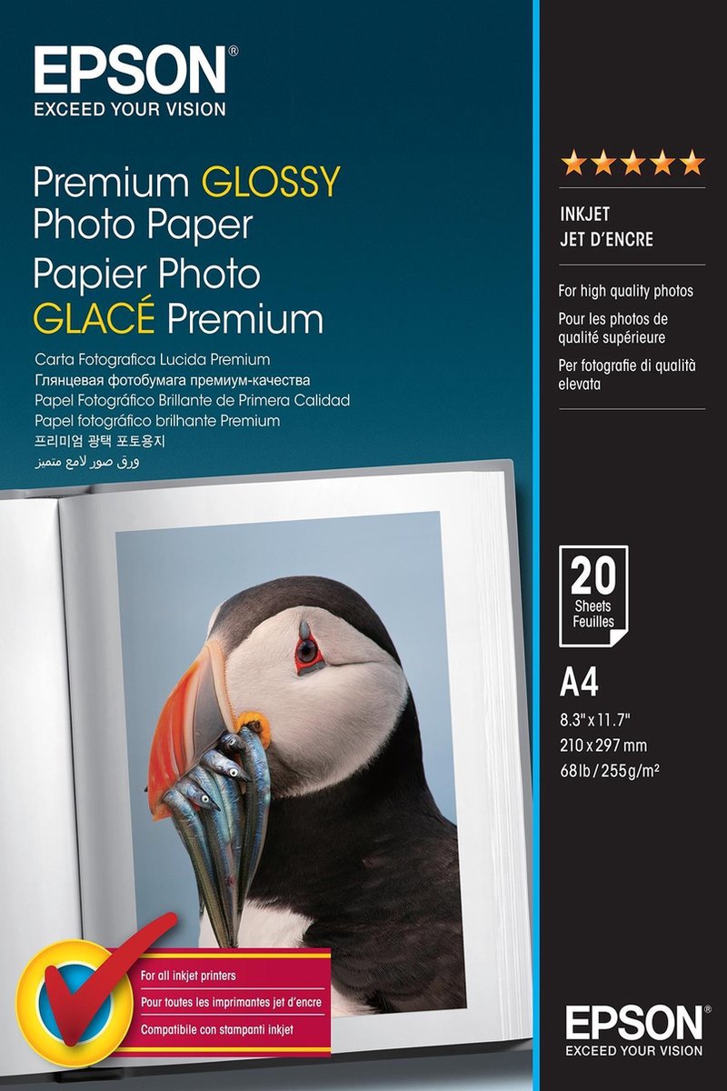 Epson, Fotopapier Premium A4 C13s041287