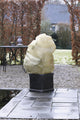 Naturwinterabdeckung mit Schnur für Pflanzen 1 m x Ø 50