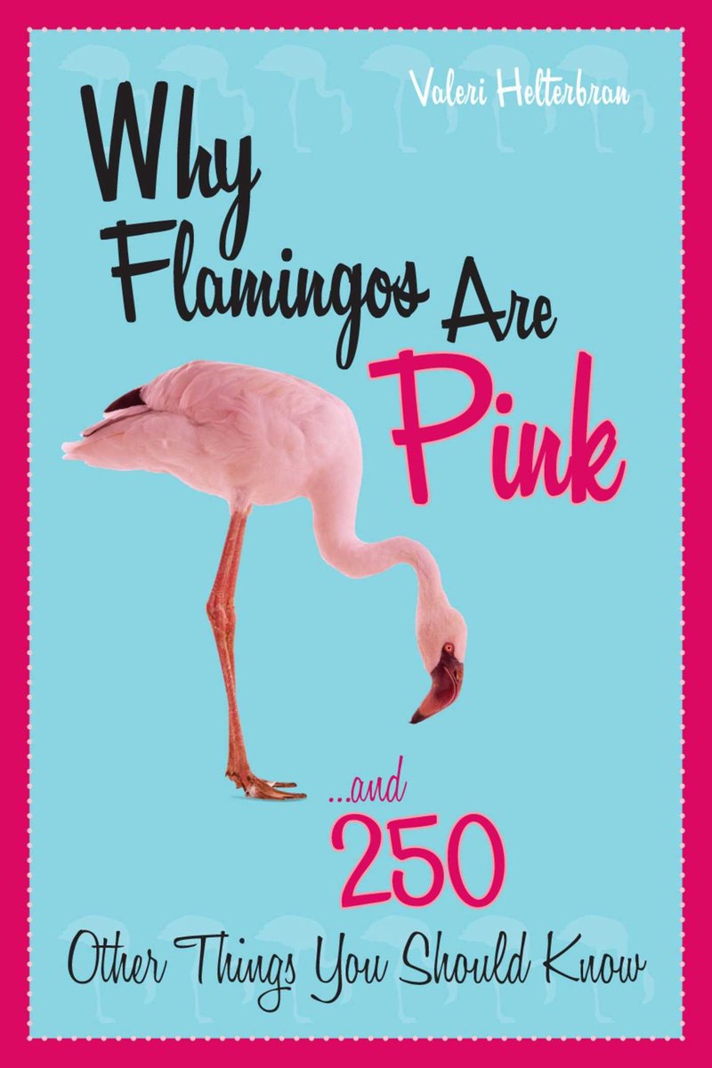 Warum Flamingos rosa sind