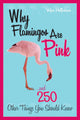 Warum Flamingos rosa sind