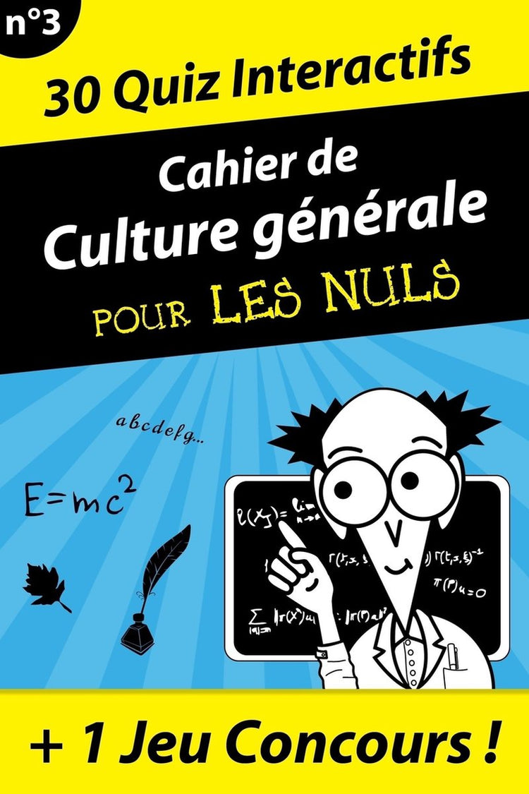 Großes Buch der Kultur allgemein für die Nullen n03