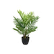 Decoris-Palme im Topf 61x61x73cm