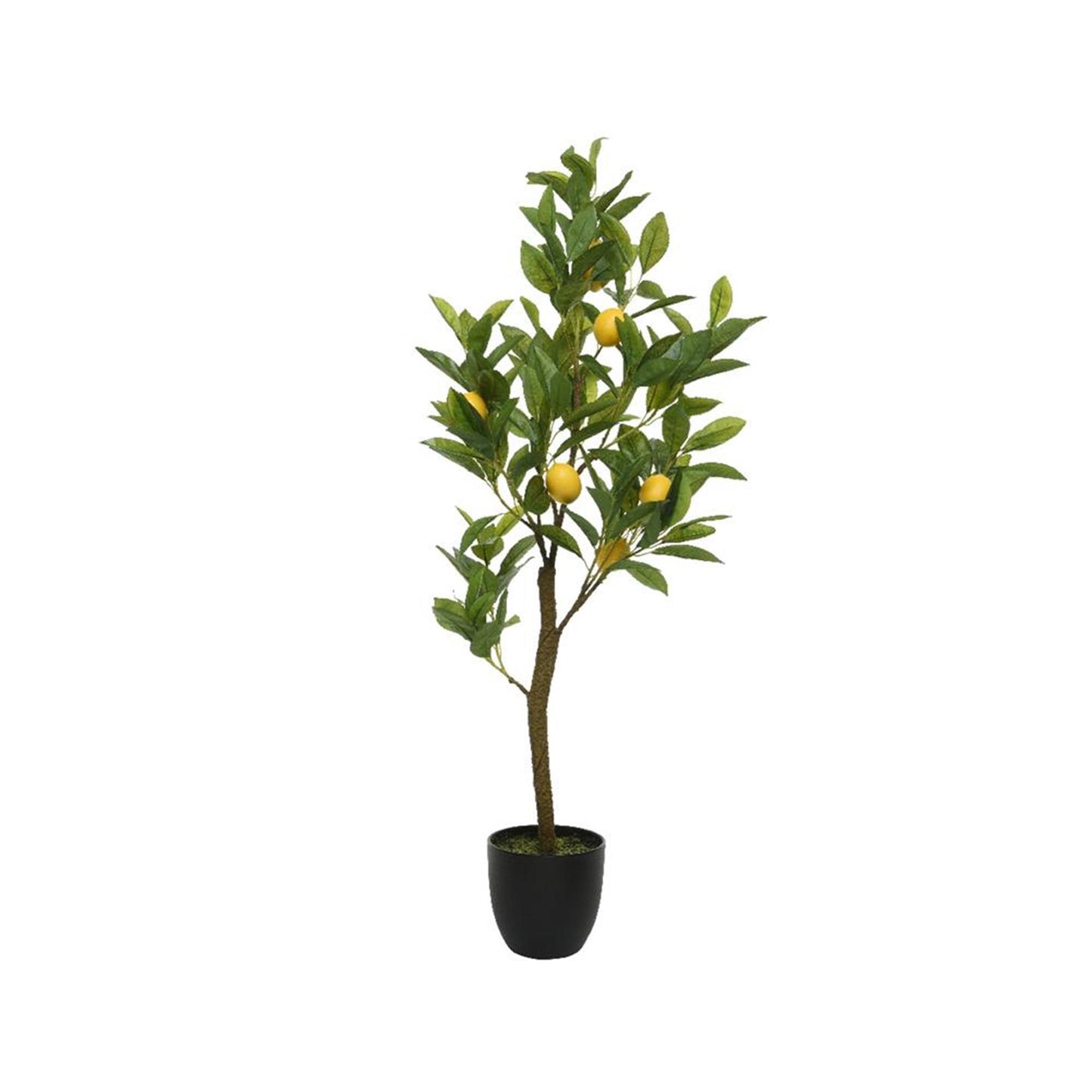 Decoris Kunstpflanze Zitrone 35x25x92cm