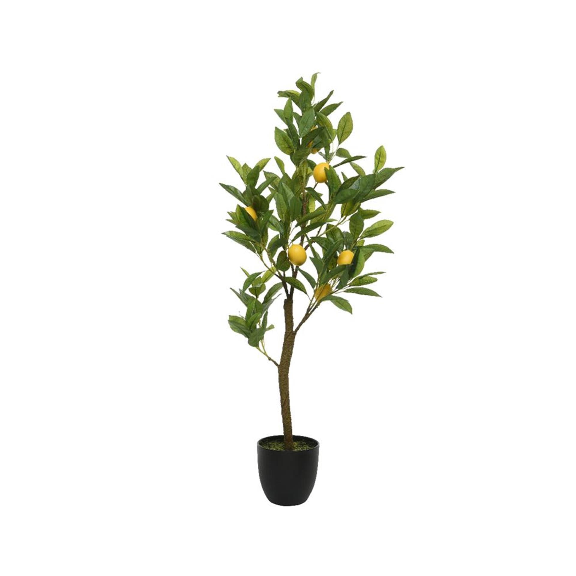 Decoris Kunstpflanze Zitrone 35x25x92cm