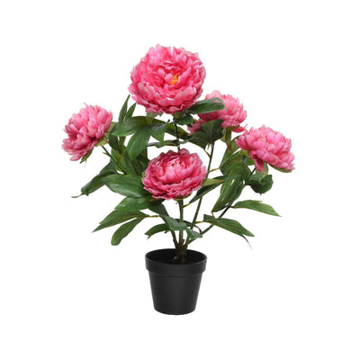 Decoris Kunstpflanze Pfingstrose H57cm Fuchsia