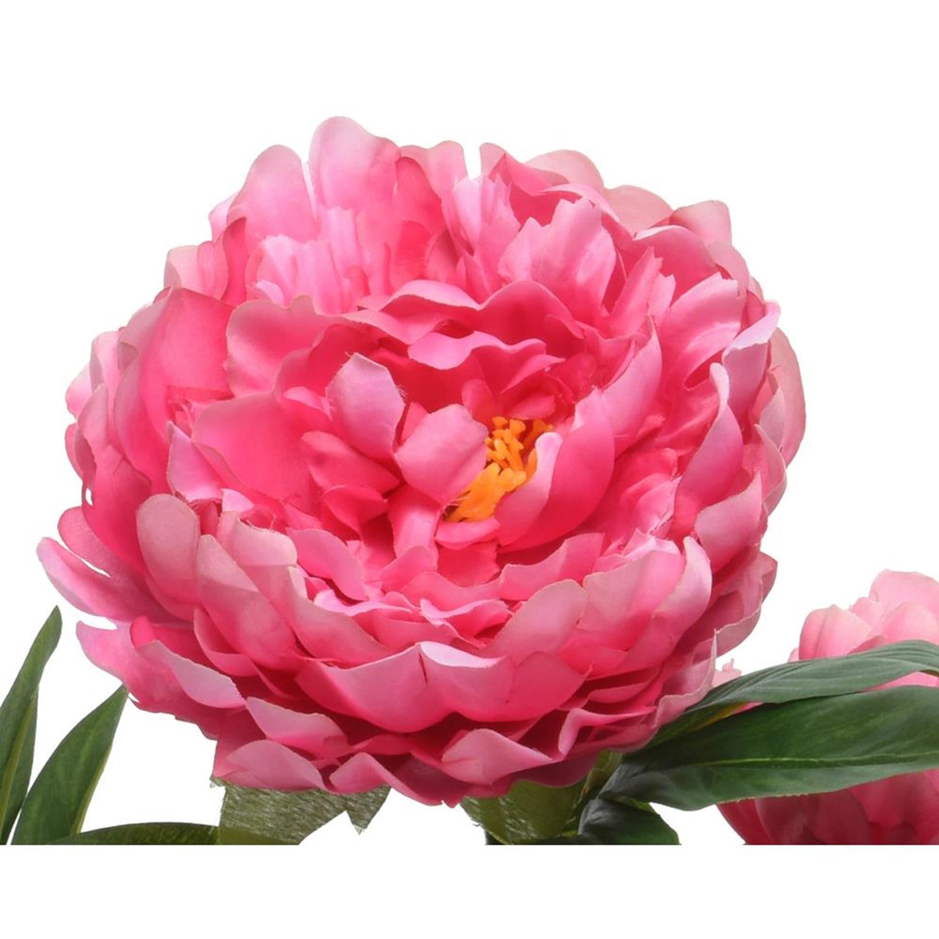 Decoris Kunstpflanze Pfingstrose H57cm Fuchsia
