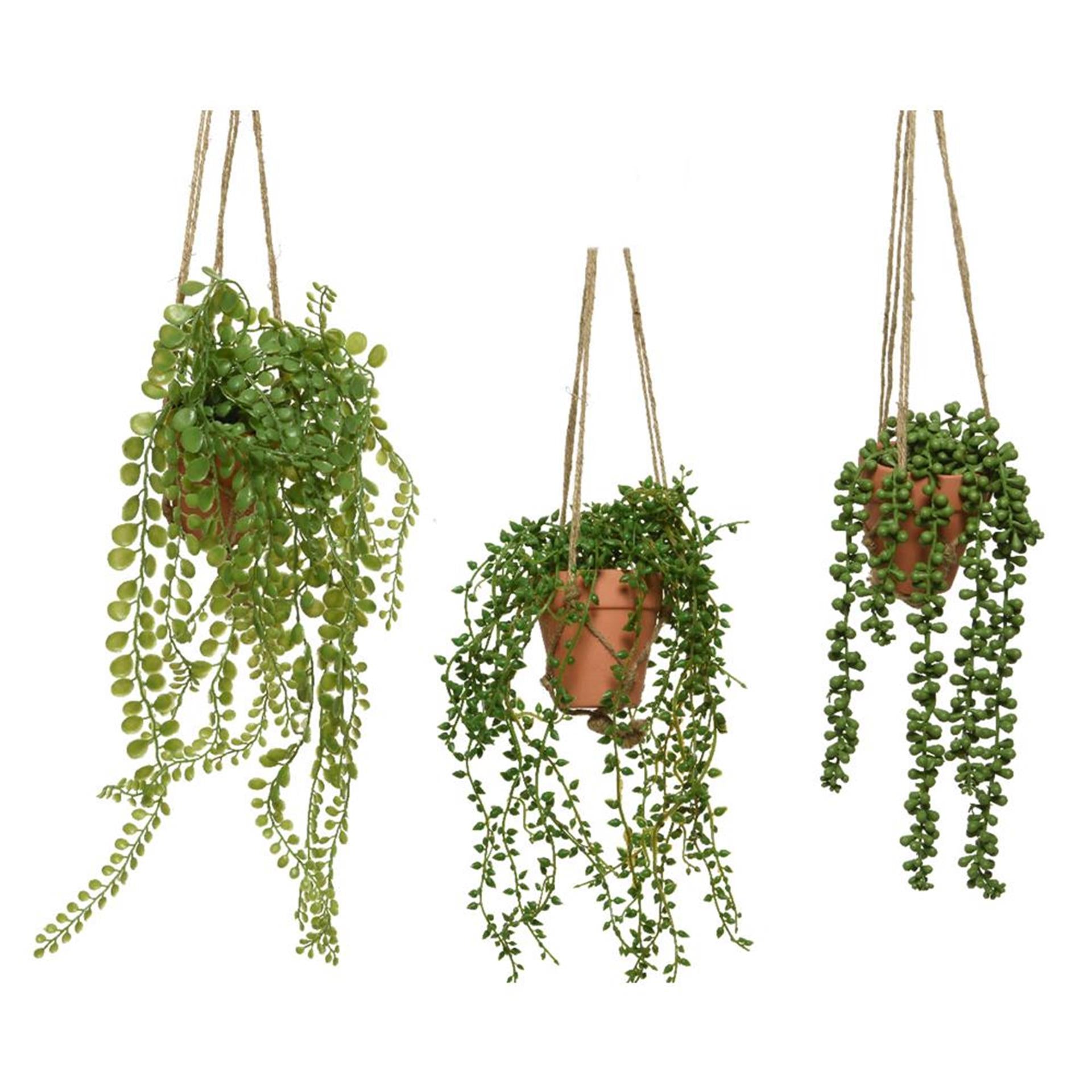 Künstliche Hängepflanze von Decoris im Topf, H40 cm, 3-fach sortiert