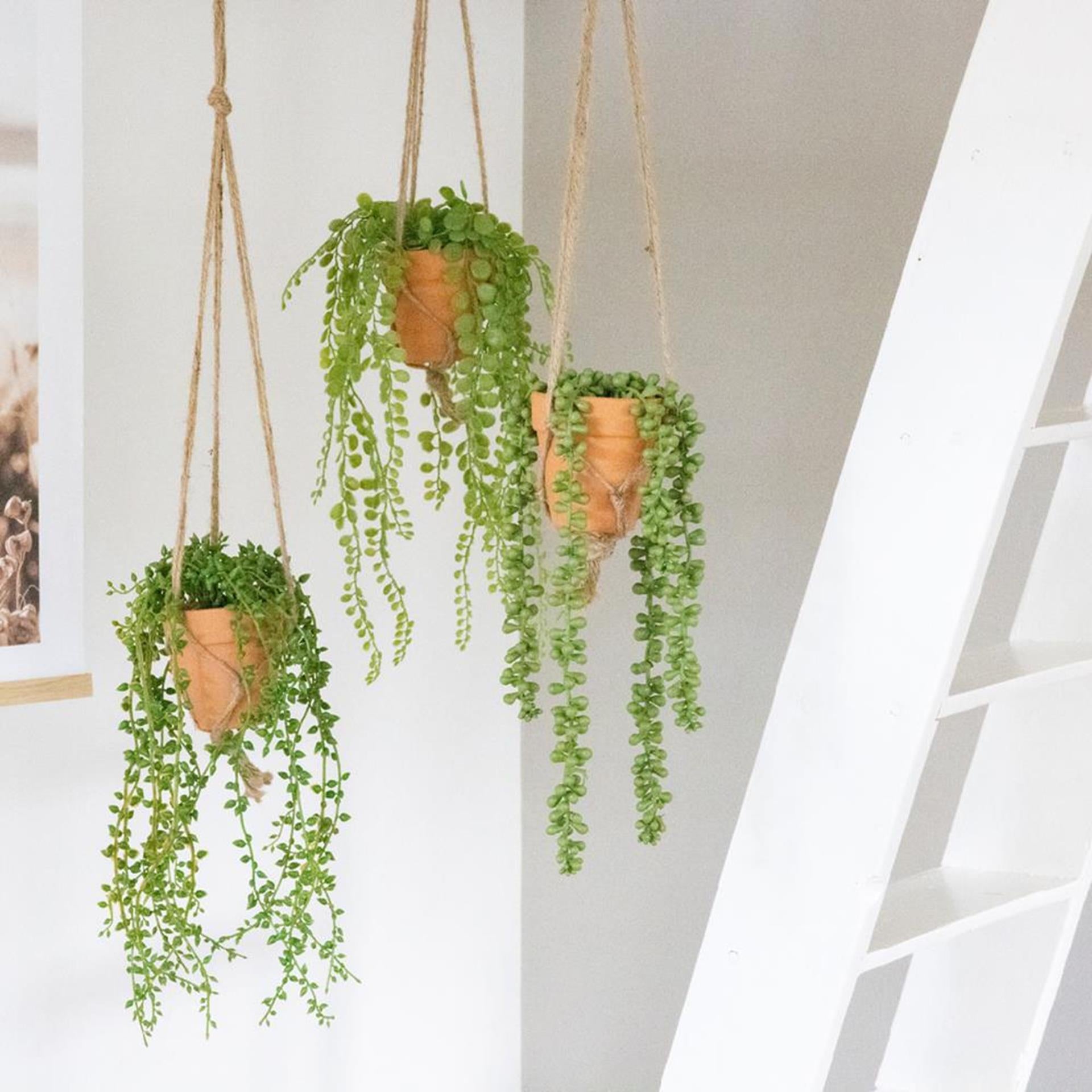 Künstliche Hängepflanze von Decoris im Topf, H40 cm, 3-fach sortiert