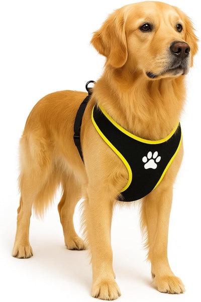 Flamingo Hundegeschirr – Hundegeschirr – Hundegeschirr Anti-Pull – Hundegeschirre – Hundegeschirr Anti-Pull – Step Go Tasha – Schwarz – Größe XL – A: 65 cm B: 90–115 cm x 20 mm x 5 mm