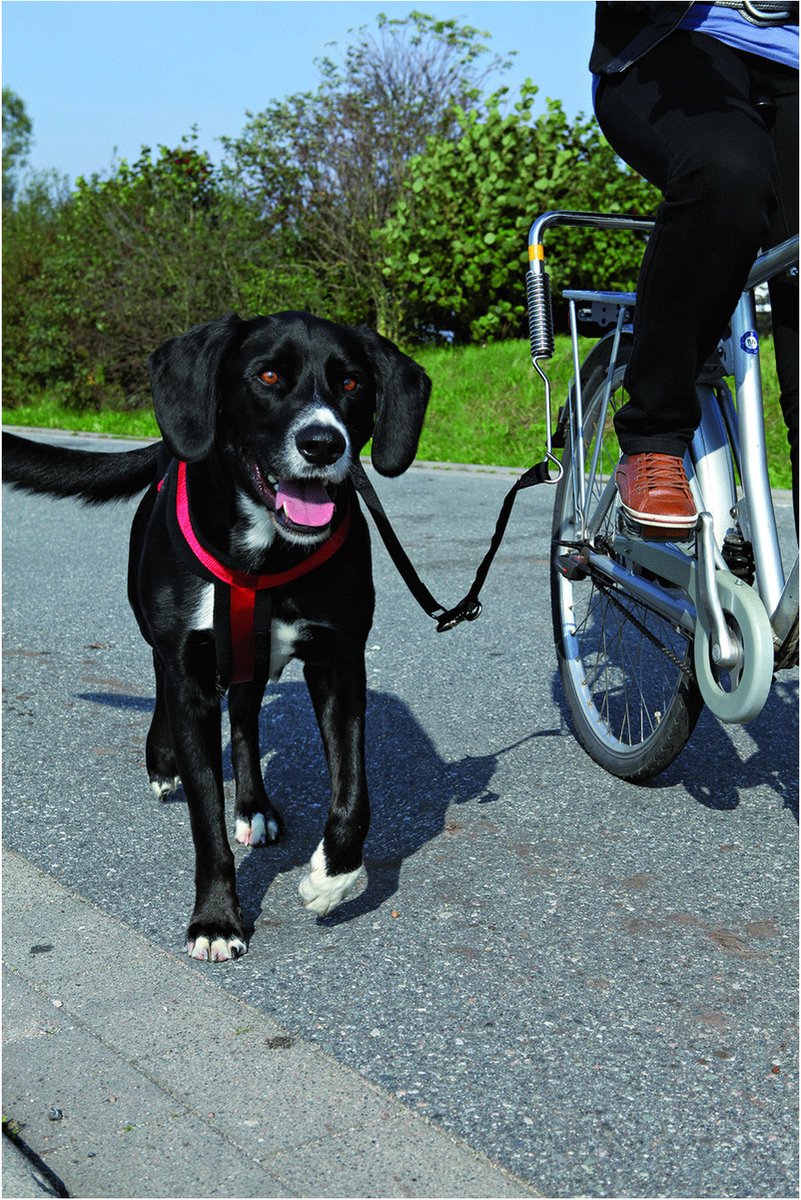 Trixie Bikerset Fahrradhalterung Springer