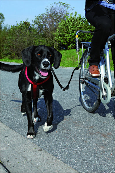 Trixie Bikerset Fahrradhalterung Springer