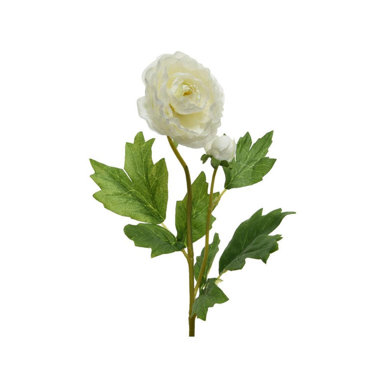 Decoris Ranunkeln h57cm weiß