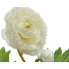 Decoris Ranunkeln h57cm weiß