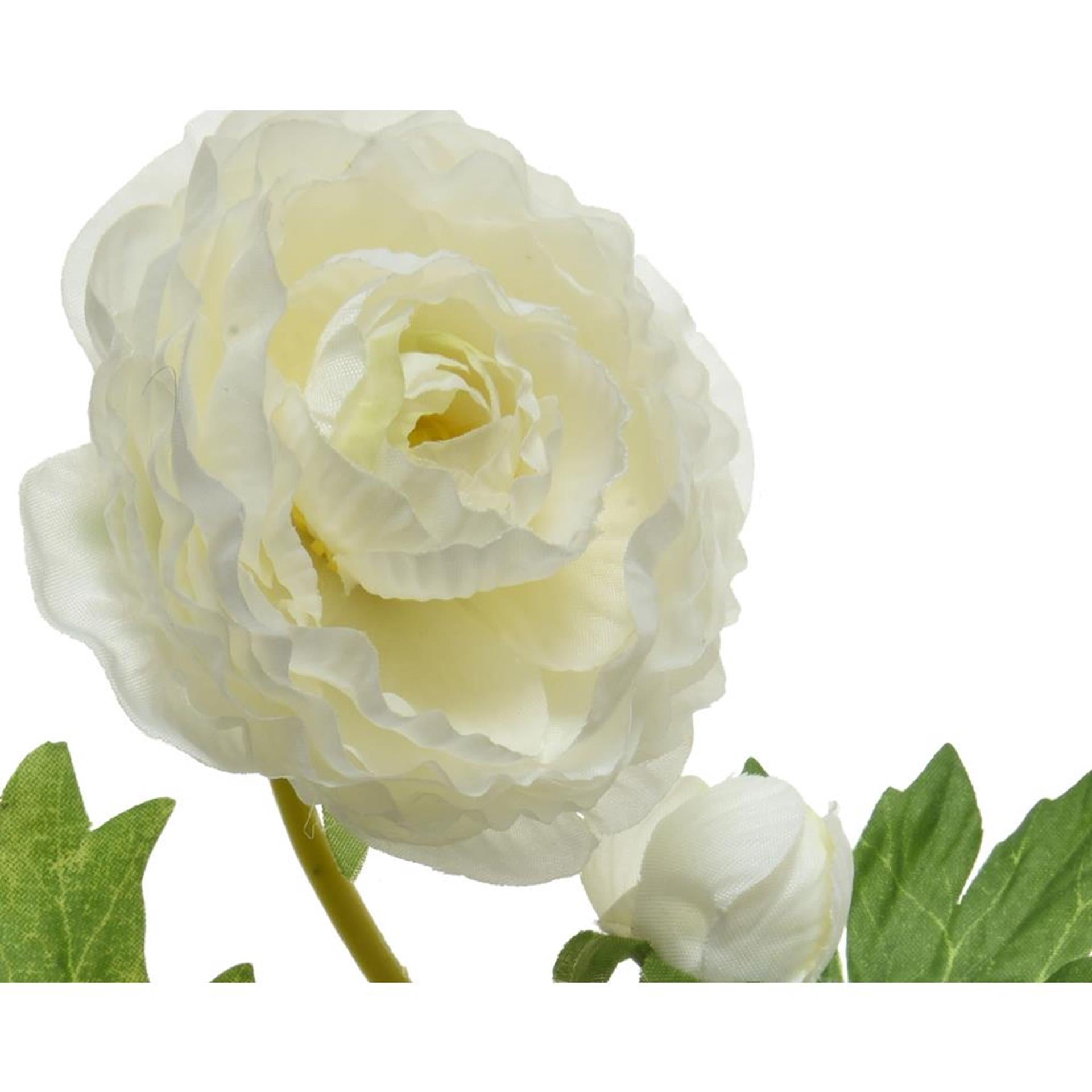 Decoris Ranunkeln h57cm weiß