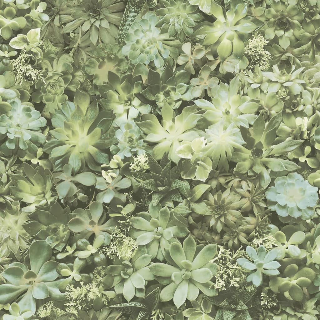 Noordwand noordwand tapete immergrüne saftige Groen und Beige