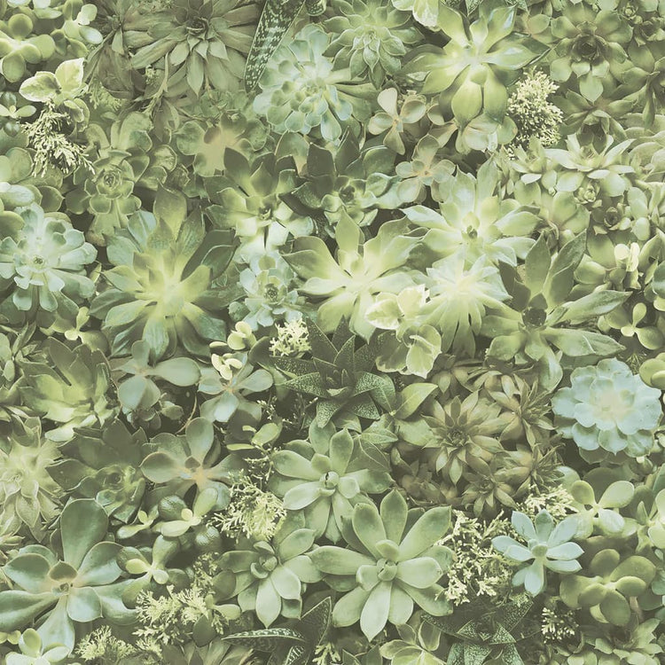 Noordwand noordwand tapete immergrüne saftige Groen und Beige