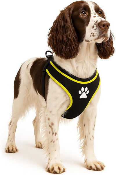 Flamingo Hundegeschirr – Hundegeschirr – Hundegeschirr Anti-Pull – Hundegeschirre – Hundegeschirr Anti-Pull – Step Go Tasha – Schwarz – Größe L – A: 58 cm B: 75–95 cm x 20 mm x 5 mm
