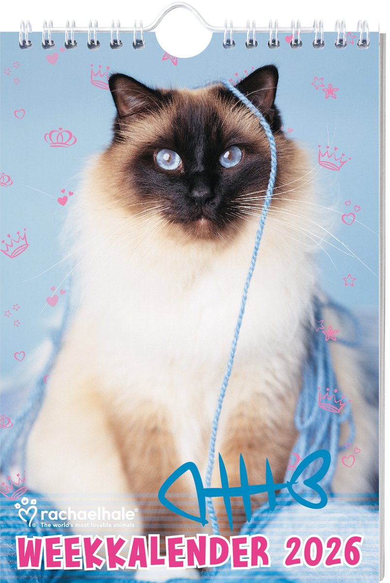 Interstat Rachel Hale Cats Wochenkalender 2026