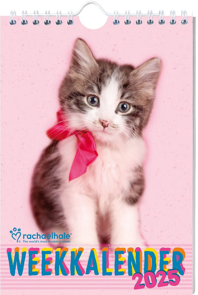 Interstat-Wochenkalender – 2025 – Rachael Hale – Katzen
