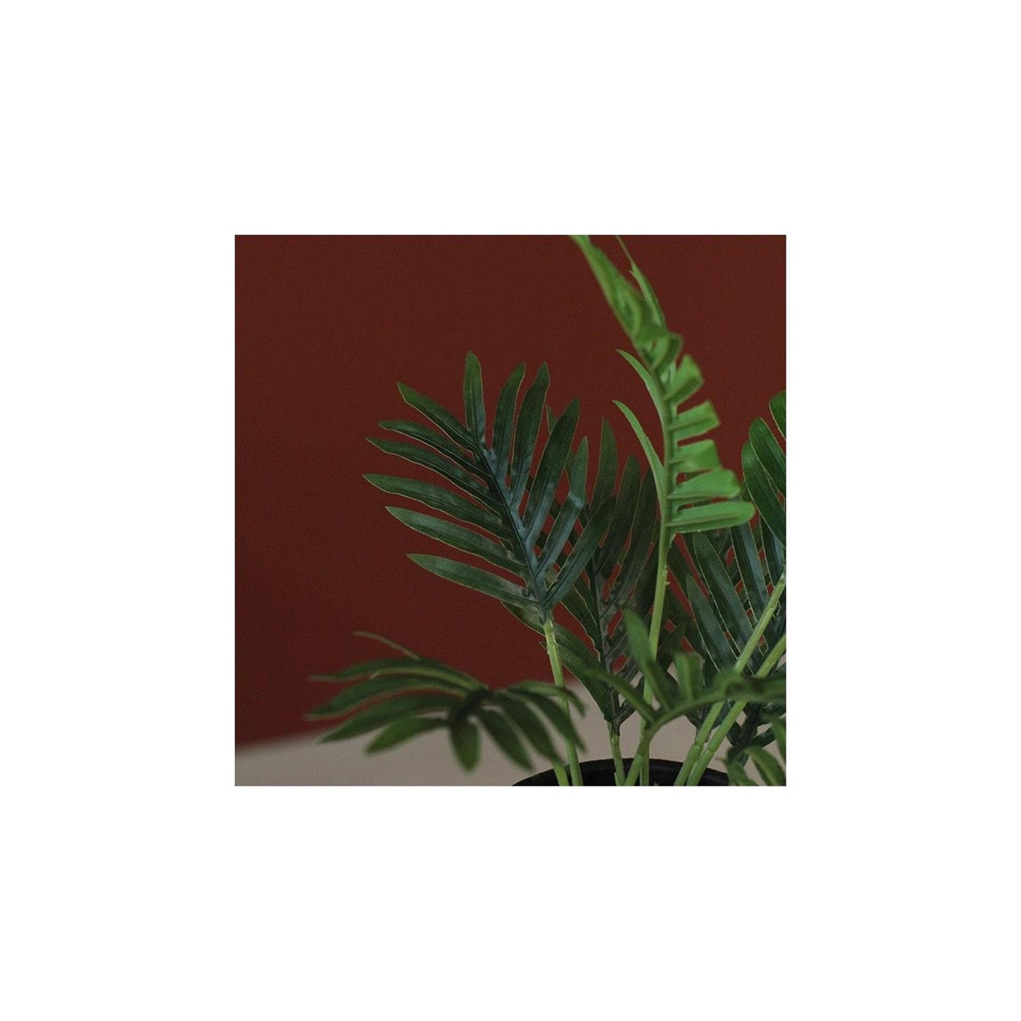 Countryfield Kunstpflanze Areca grün 23xh30cm