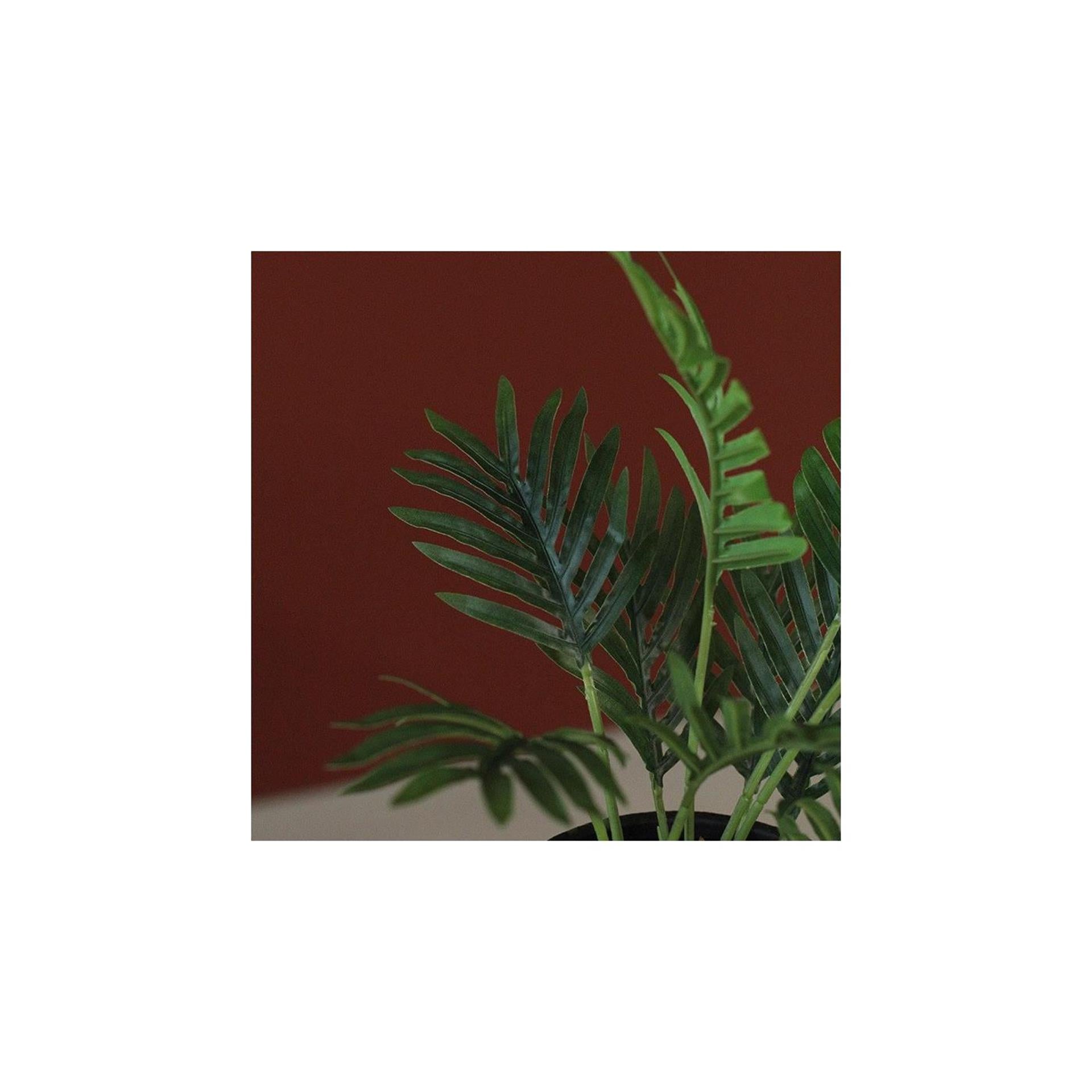 Countryfield Kunstpflanze Areca grün 23xh30cm
