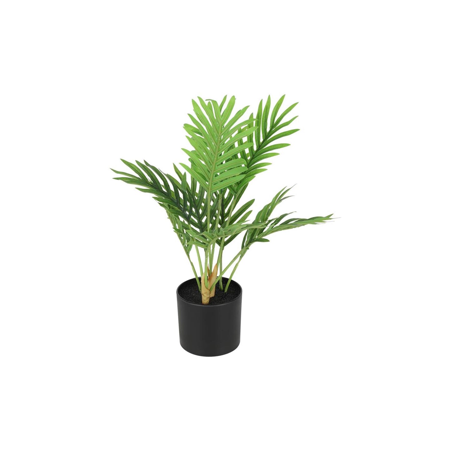 Countryfield Kunstpflanze Areca grün 23xh30cm