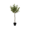 Decoris Kunstpflanze Olivenbaum 120cm