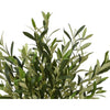 Decoris Kunstpflanze Olivenbaum 120cm