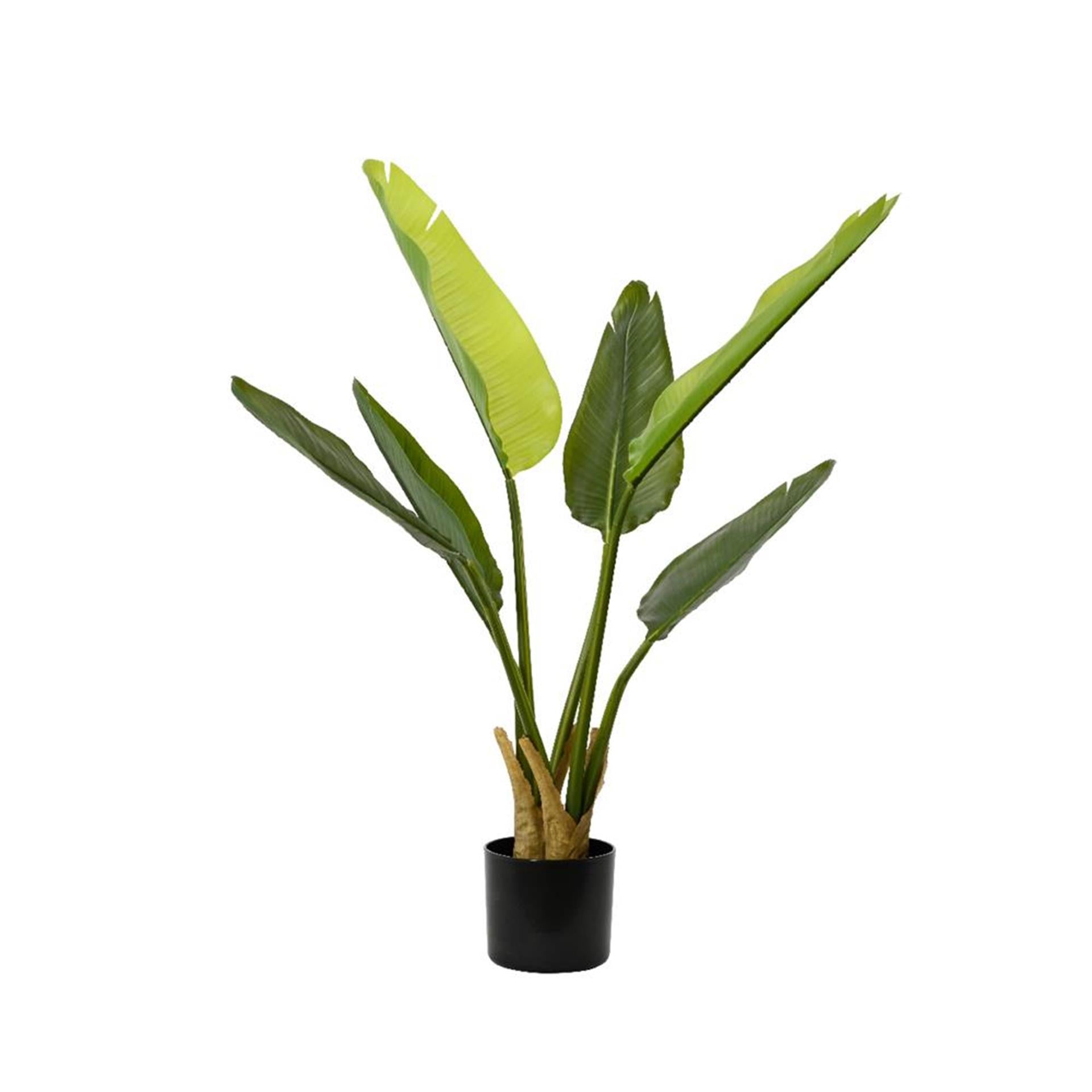 Decoris Kunstpflanze Strelitzia h90cm
