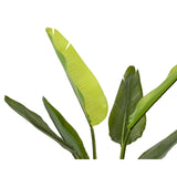 Decoris Kunstpflanze Strelitzia h90cm - afbeelding 2