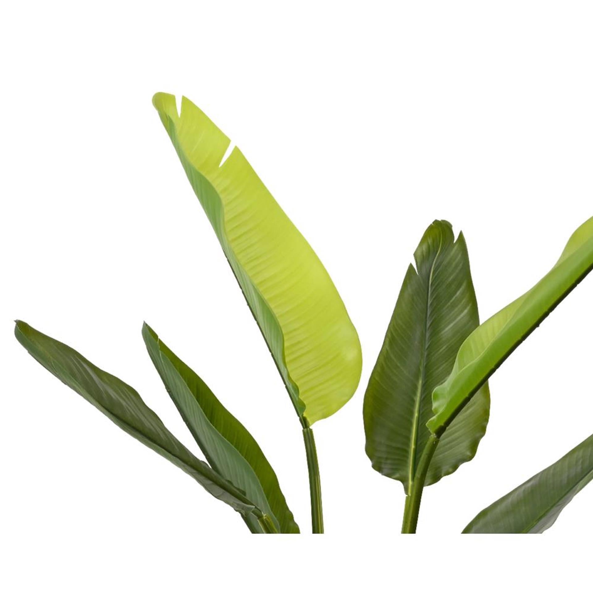 Decoris Kunstpflanze Strelitzia h90cm