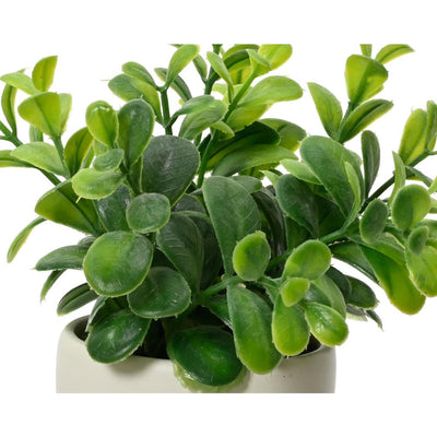 Kunstpflanze Decoris im Topfkörper H16cm