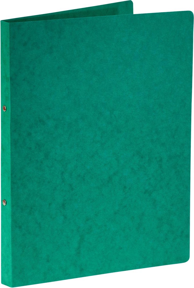 Bronyl-Ringbinder | für ft a4 | aus glänzendem Karton | 2 Ringe à 16 mm | grün