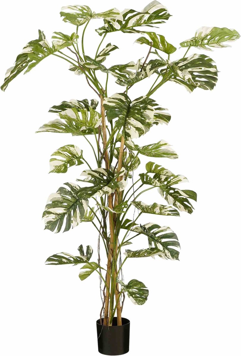Mica-Dekorationen, künstliche Pflanze Monstera – 145 x 145 x 190 cm – Polyester – grün