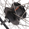 Hinterrad 28 Nexus 8 Rollerbrake -Hub mit schwarzen Rand und Edelstahl -Speichen