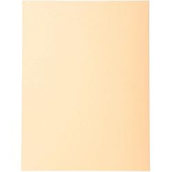 Sortiermappe Exacompta 420002e 170 g m Lachs A4