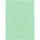 Sortiermappe Bangali Exacompta 85004e Recyclingpapier 60g m2 31x22cm leuchtend grün