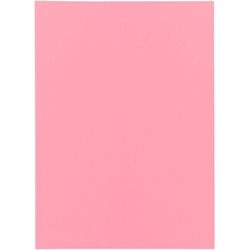 Sortiermappe Bangali Exacompta 850003e Recyclingpapier 60g m2 31x22cm rosa