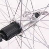 Sunrice Haven Wheel 28 622 x 21C Parallex 8 9-Gang HBM53 Hub Silber