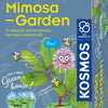 Selecta Cosmos Mimosa Gartenspielset