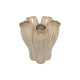 Countryfield Vase Garber l h30cm beige