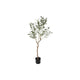 Countryfield Olivenbaum Olea europaea L 105cm