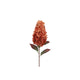 Countryfield Kunstblume Paniculata Hortensie Orange