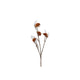 Countryfield Kunstblume Helix orange 75x13x6,5cm