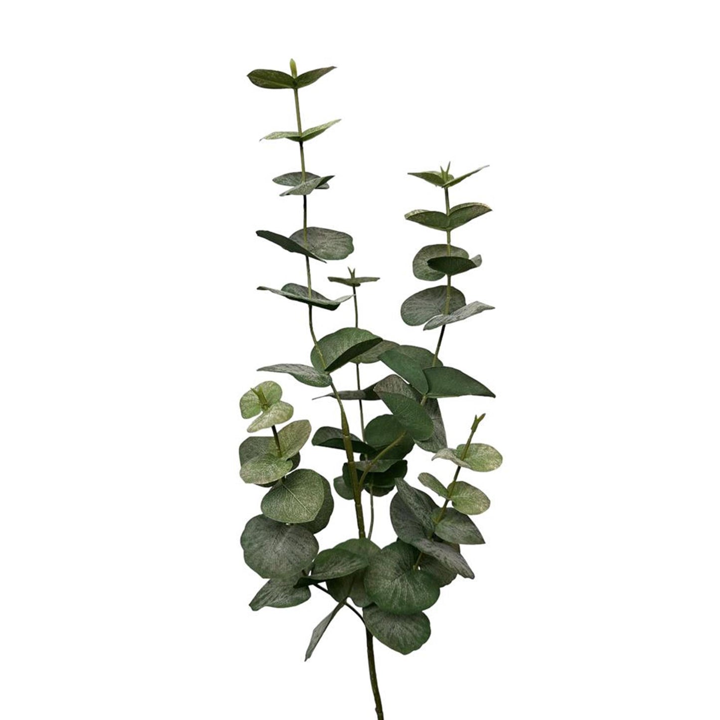 Roberts Collection künstlicher Zweig Eukalyptusspray 90 cm grau